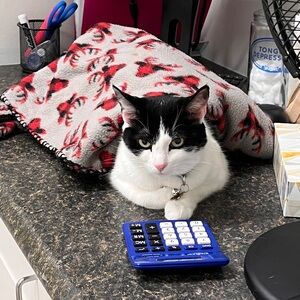 Meet your Posher, Sadia